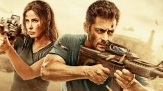 Tiger Zinda Hai box office collection day 8: Salman Khan starrer earns Rs 217.60 crore